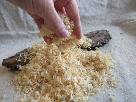 Τι είναι ο ξυλοπολτός;